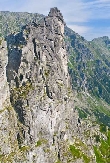 " Gazy olepy poudniem...."

K.Szlagafoto: Zbigniew Tetak