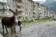 Normalne osiedle w rejonie Elbrusa, znajduje si na wysokoci okoo 3000 mnpm. foto: Robert Dziech